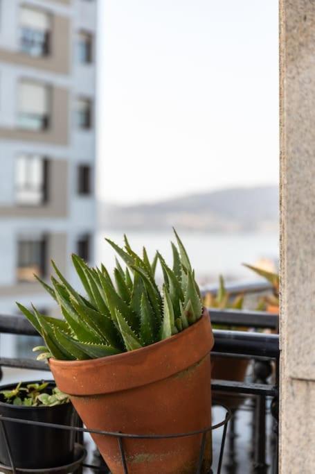 Bonito Piso Con Vistas, Centrico, Acogedor Daire Vigo Dış mekan fotoğraf